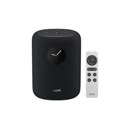  Loa WiiM Sound (100W, Bluetooth 5.3) 