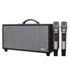 Loa xách tay Acnos Hi450 (200W RMS, 2 Micro)