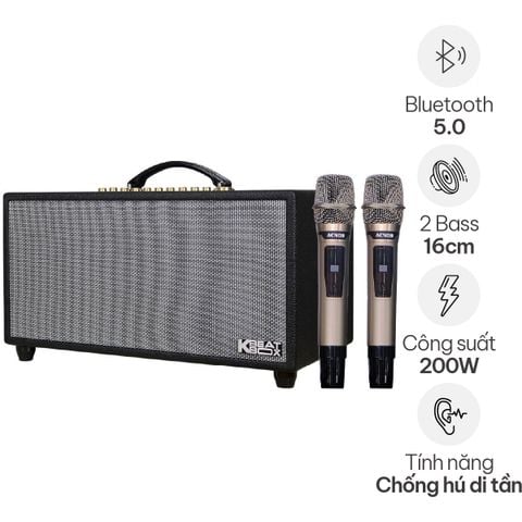 Loa xách tay Acnos Hi450 (200W RMS, 2 Micro)