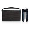 Loa xách tay Arirang A80 (2 Bass 9cm, 80W/320W)