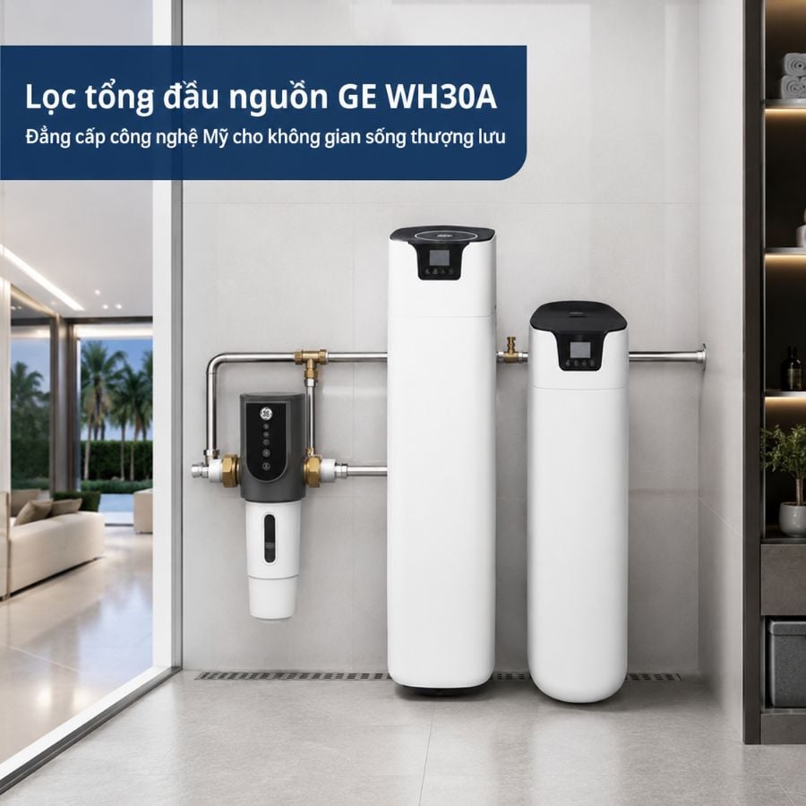 Ảnh minh họa Lọc tổng đầu nguồn GE WH30A 3