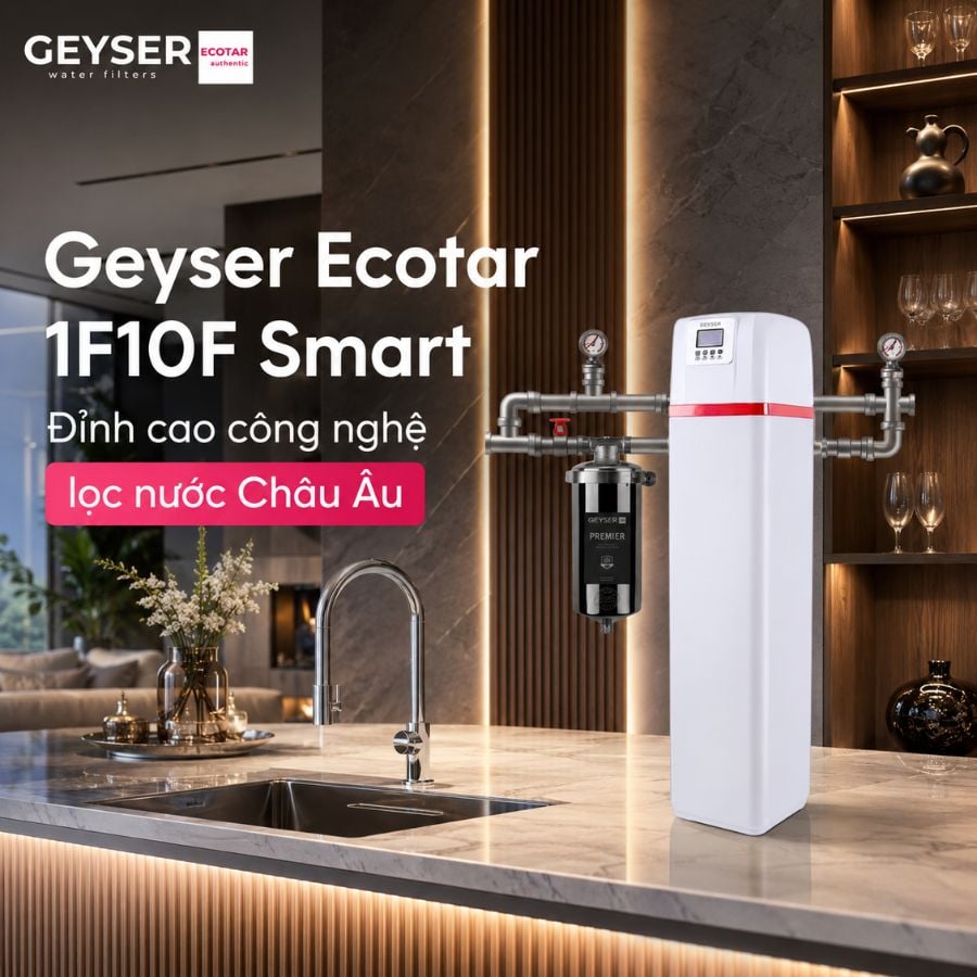 Ảnh minh họa Lọc tổng đầu nguồn Geyser Ecotar 1F10F Smart 2