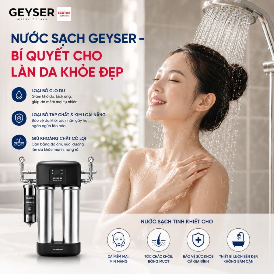 Ảnh minh họa Lọc tổng đầu nguồn Geyser Ecotar 1F15UF 1