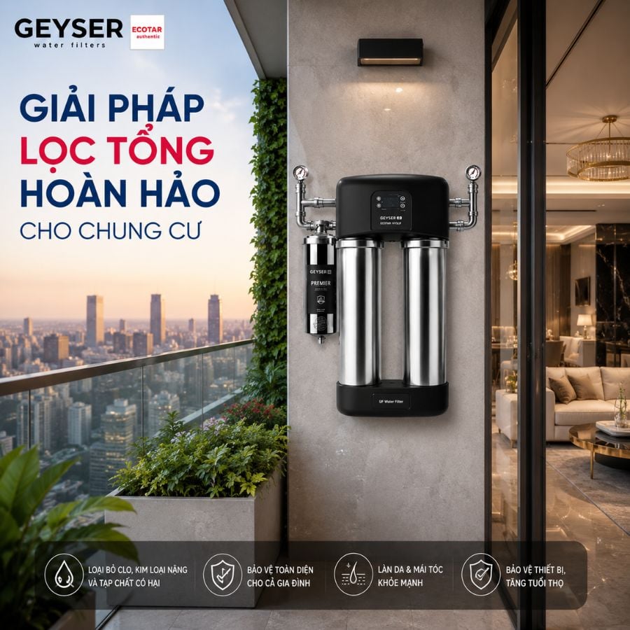 Ảnh minh họa Lọc tổng đầu nguồn Geyser Ecotar 1F15UF 2