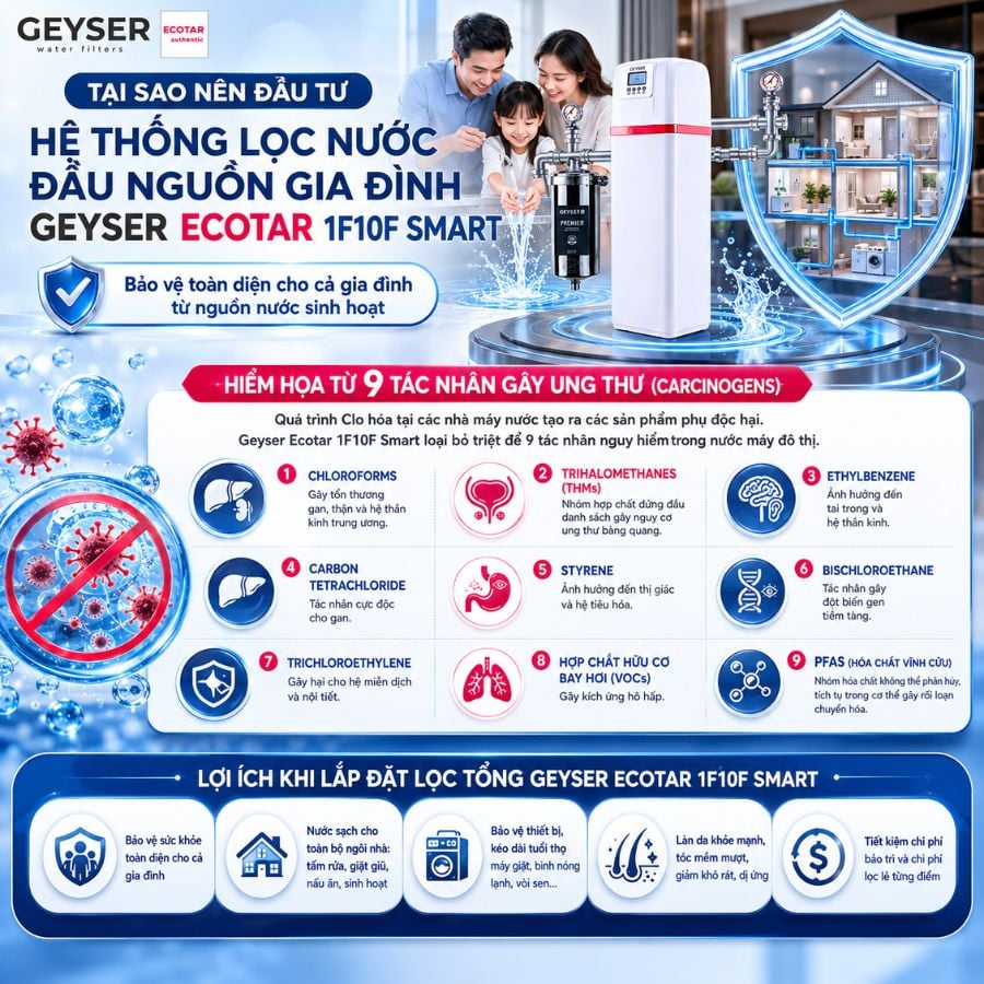 Ảnh minh họa Lọc tổng đầu nguồn Geyser Ecotar 1F20F Smart 2