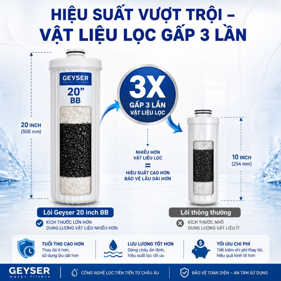 Ảnh minh họa Lọc tổng đầu nguồn Geyser Ecotar 4F4As 1