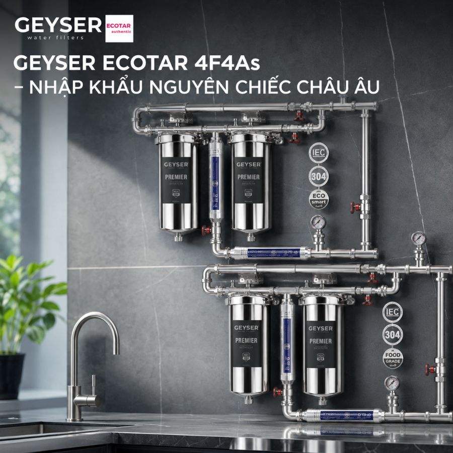Ảnh minh họa Lọc tổng đầu nguồn Geyser Ecotar 4F4As 3
