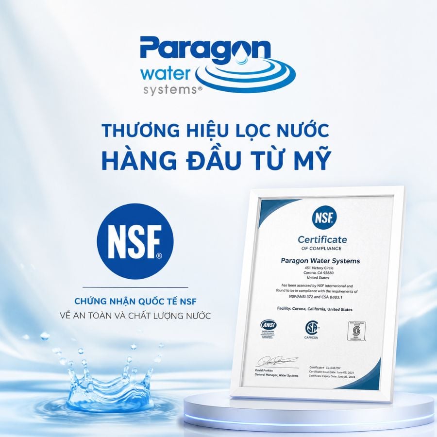 Ảnh minh họa Lọc tổng đầu nguồn Paragon PSE075 2