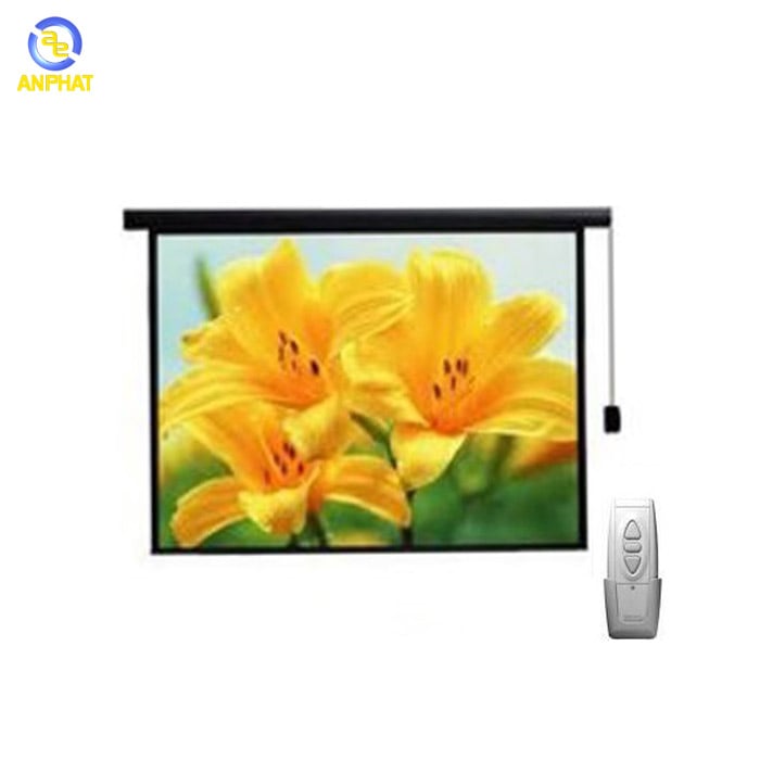 Màn chiếu điện điều khiển từ xa 150 inch REGENT MS150-O