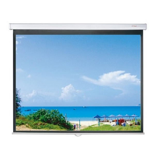 Màn chiếu Treo Dalite PL170WS 170Inch