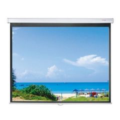  Màn chiếu Treo Dalite PL170WS 170Inch 