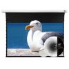 Màn chiếu xuyên âm Vividstorm VMSLPW100H, 100 Inch