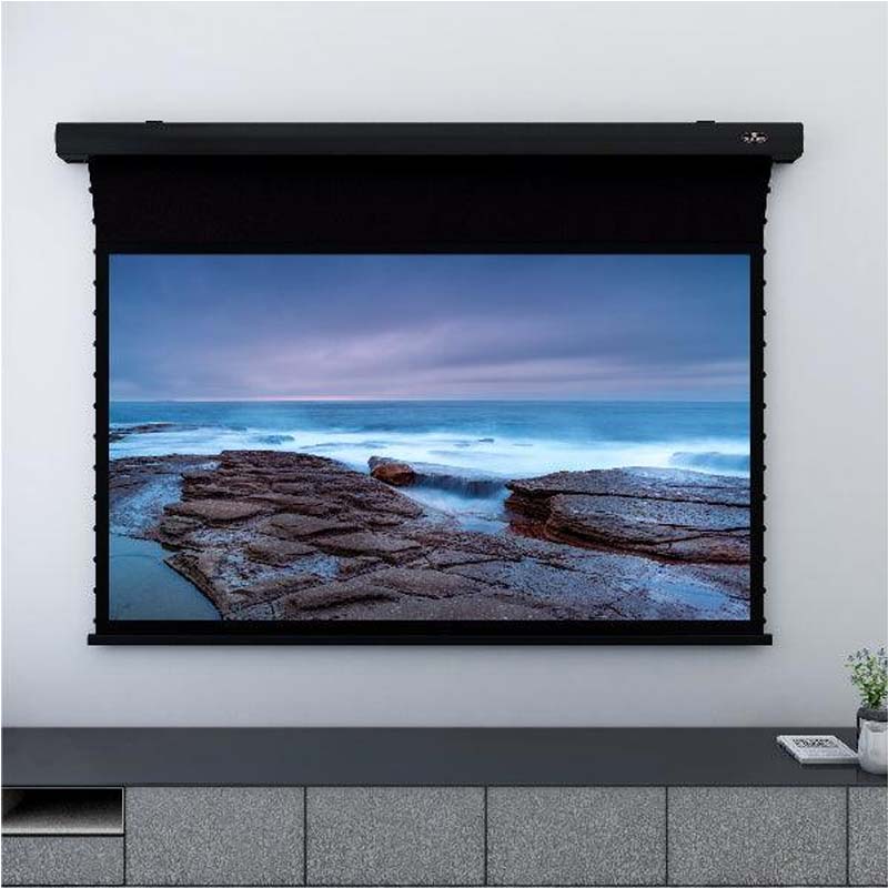 Ảnh minh họa Màn chiếu xuyên âm Vividstorm VMSLPW100H, 100 Inch 3