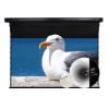 Màn chiếu xuyên âm Vividstorm VMSLPW110H, 110 Inch