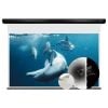 Màn chiếu xuyên âm Vividstorm VMSLPW110H, 110 Inch