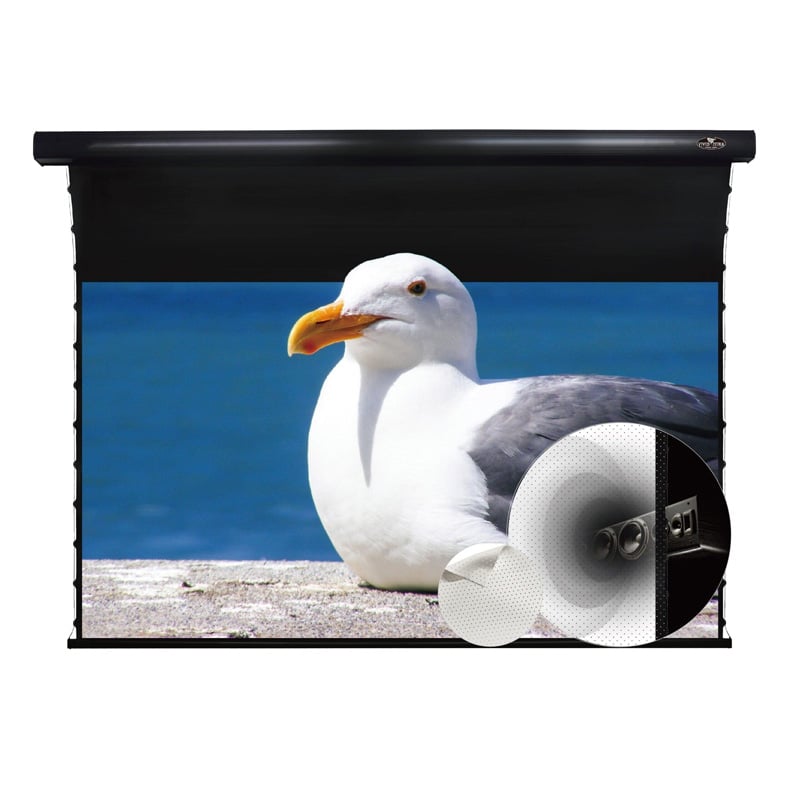 Ảnh minh họa Màn chiếu xuyên âm Vividstorm VMSLPW120H, 120 Inch 1