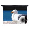 Màn chiếu xuyên âm Vividstorm VMSLPW120H, 120 Inch