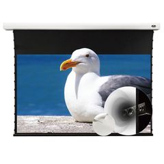  Màn chiếu xuyên âm Vividstorm VMSLPW120H, 120 Inch 