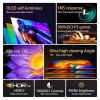 Màn Hình Di Động ARZOPA A3C Pro OLED 13.3