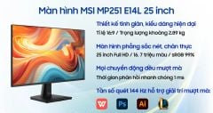  Màn hình MSI MP251 E14L 25 inch 