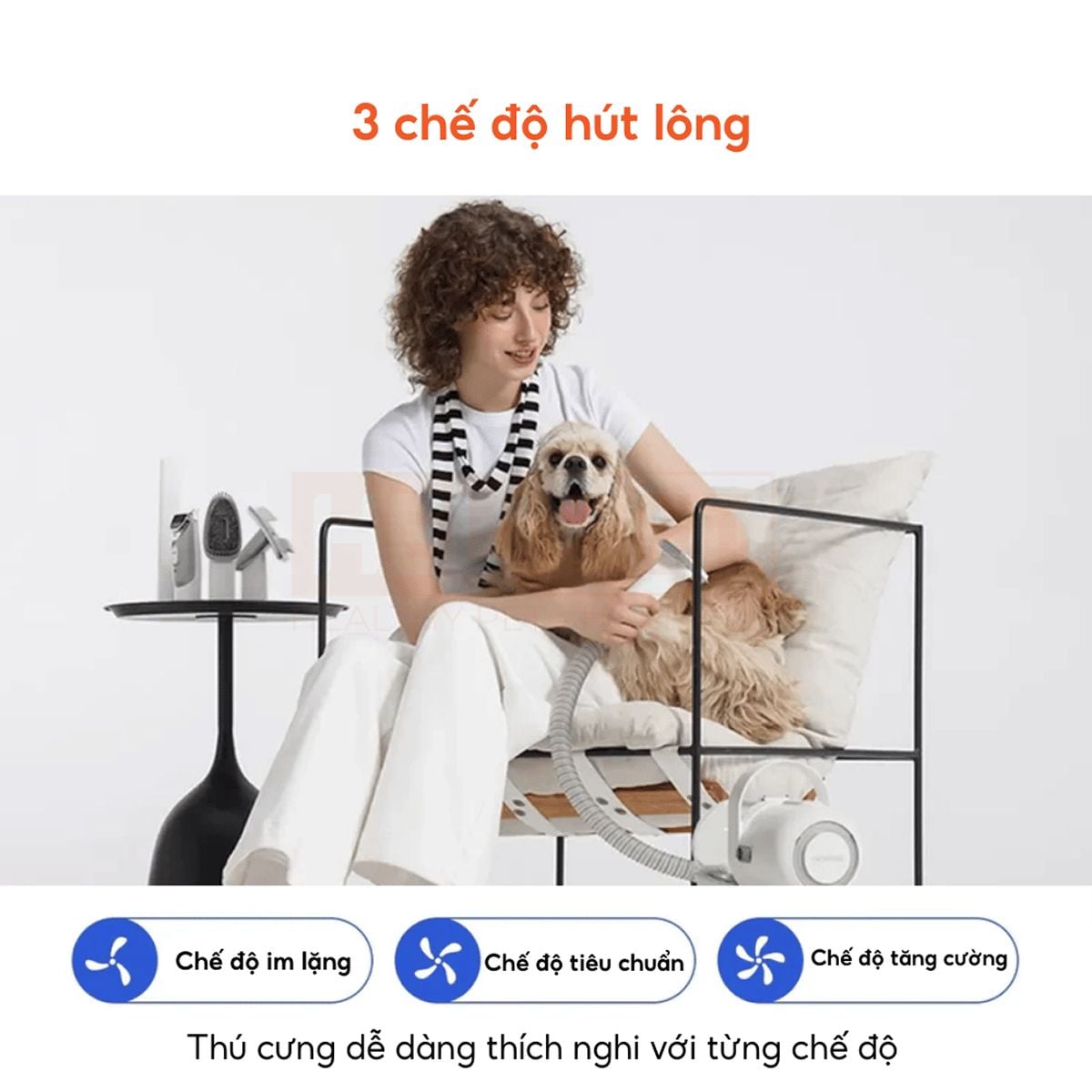 Ảnh minh họa Máy chải hút lông chó mèo Neakasa P1 Pro 5-in-1 Pet Grooming Vacuum 1