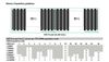 Máy Chủ HPE ProLiant DL380 Gen11 8x3.5