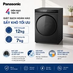  Máy giặt sấy Panasonic Inverter NA-S24DW1BVT 