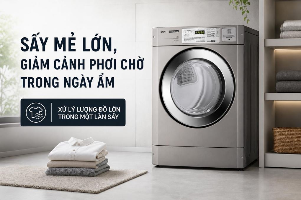 Ảnh minh họa Máy sấy thông hơi công nghiệp LG 10.2 kg CDG27RUQES 3