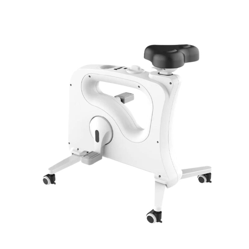 Máy tập thể dục kiểu đạp xe Flexispot 9U