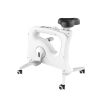 Máy tập thể dục kiểu đạp xe Flexispot 9U