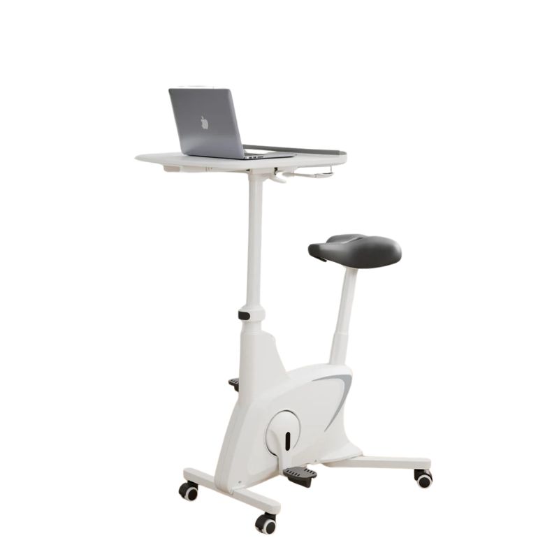 Ảnh minh họa Máy tập thể dục kiểu đạp xe Flexispot V9W-N-A 1