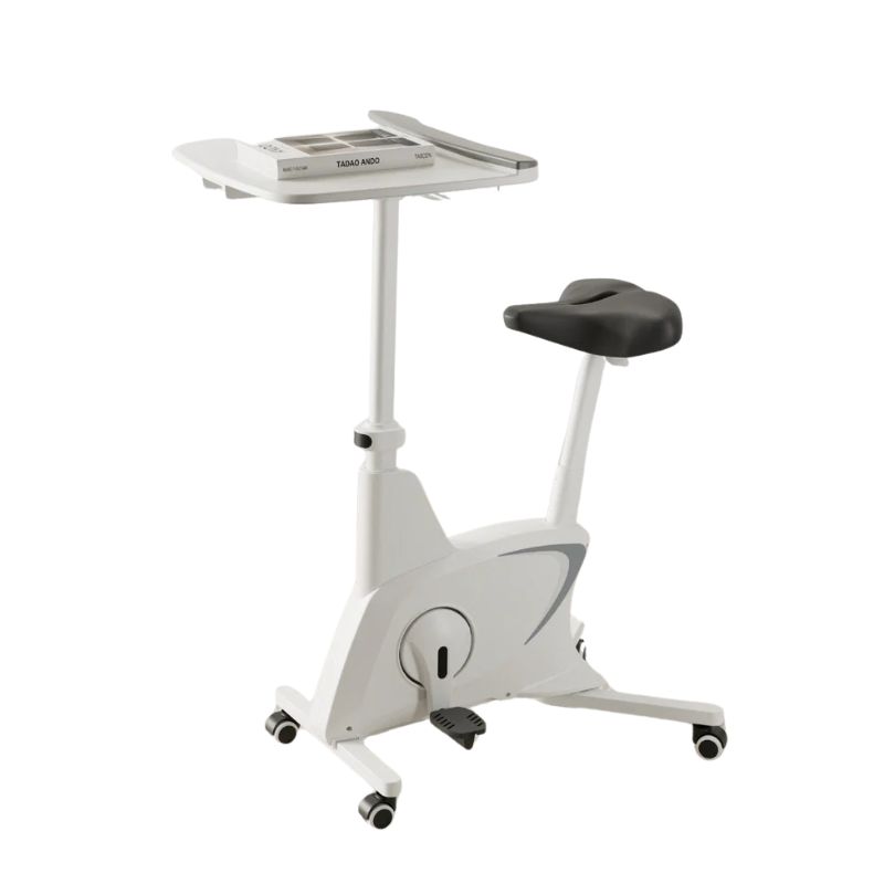 Ảnh minh họa Máy tập thể dục kiểu đạp xe Flexispot V9W-N-A 2