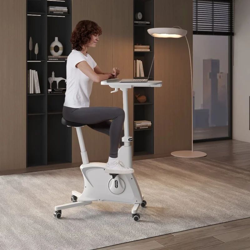 Ảnh minh họa Máy tập thể dục kiểu đạp xe Flexispot V9W-N-A 3