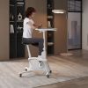 Máy tập thể dục kiểu đạp xe Flexispot V9W-N-A