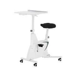  Máy tập thể dục kiểu đạp xe Flexispot V9W-N-A 
