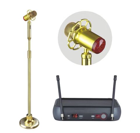 Micro AAP Audio SM-100