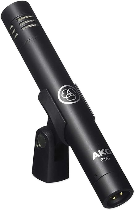 Ảnh minh họa Micro Condenser AKG PERCEPTION 170 Professional Instrumental 2