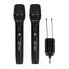 Micro DBacoustic M2 Premium