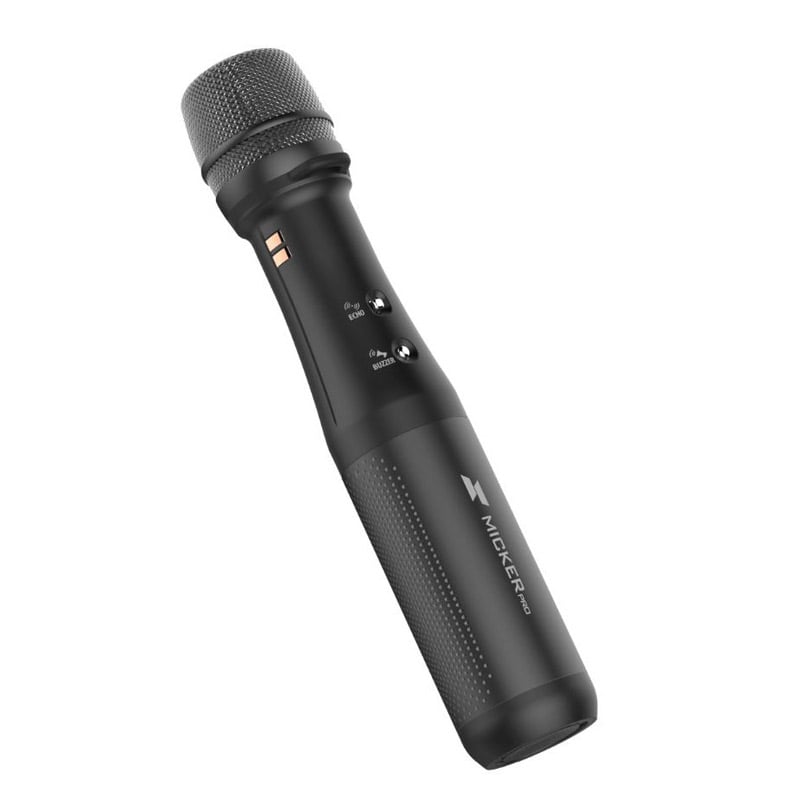 Ảnh minh họa Micro Micker Pro 2