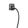 Micro Shure WL185MB/C-TQG cài áo, Cardioid, TA4F/TQG