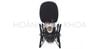 Micro thu âm condenser JTS JS-1T
