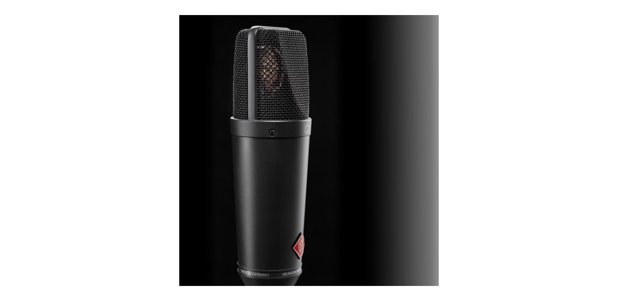 Ảnh minh họa Micro Thu Âm Condenser Neumann TLM 193 | TLM 193 Neumann 1