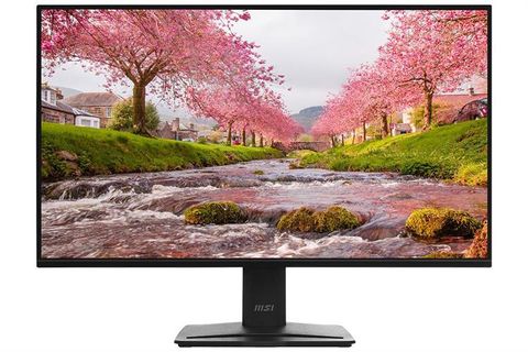 MSI 24.5 inch Full HD MP251 E2