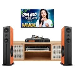  Dàn karaoke gia đình GD21 (Paramax D88 Limited) 