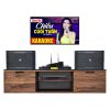 Dàn karaoke gia đình HK106 Music Box (JBL RM210)