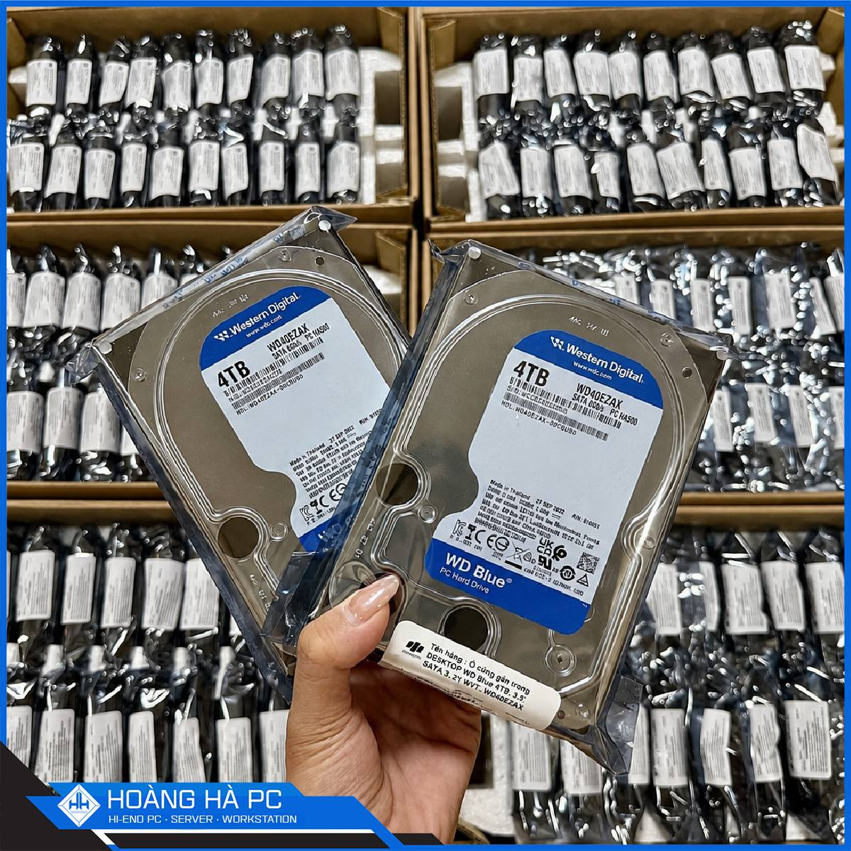 Ảnh minh họa Ổ cứng HDD Western Digital Blue 4TB (3.5 Inch/ SATA 3/ 5400 RPM/ 256MB Cache) 2