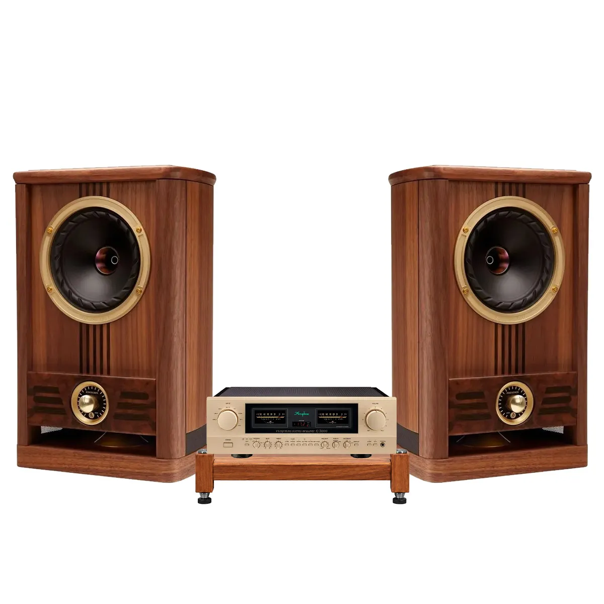 Ảnh minh họa Dàn nghe nhạc Hi-end Fyne Audio 04 (Fyne Audio Vintage 5, Accuphase E-3000) 2
