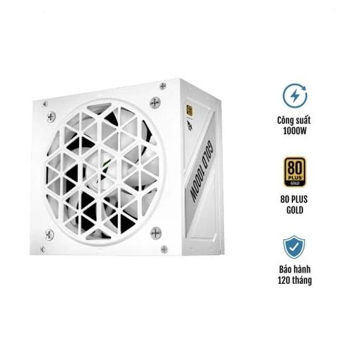 Nguồn Máy Tính 1stplayer Ngdp-gld-1000 1000w Trắng (80 Plus Gold)