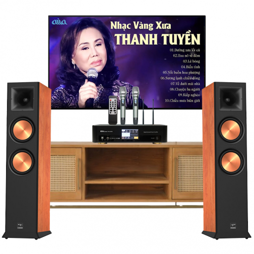 Dàn Nghe nhạc và Hát karaoke Paramax 03 (Paramax EURO 8 Limited, Bksound DKA 5500)