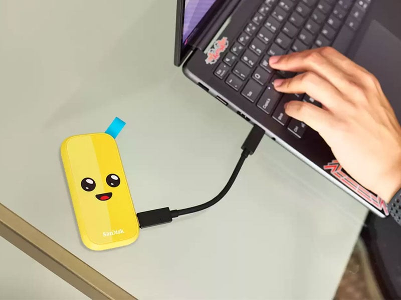 Ảnh minh họa Ổ cứng di động SanDisk SSD 1TB Fortnite Edition SDSSDE30-1T00-G25F 3
